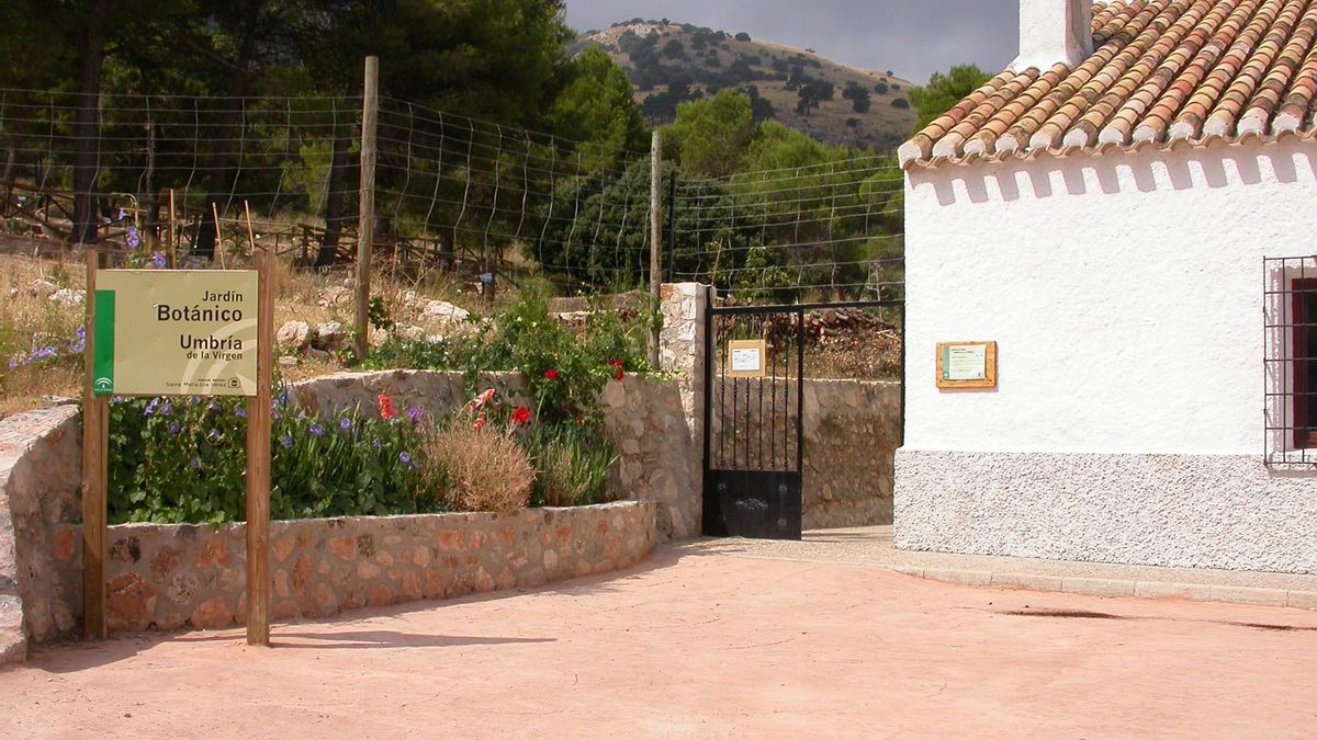 La red de jardines botánicos de Andalucía denuncia un recorte de plantilla por parte de la Junta que los condena a su cierre