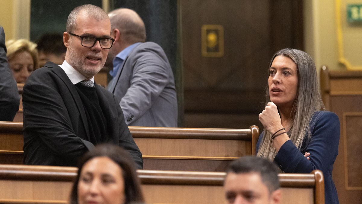 El Congreso aprueba la ley de multirreincidencia de Junts con los votos del PSOE y la derecha