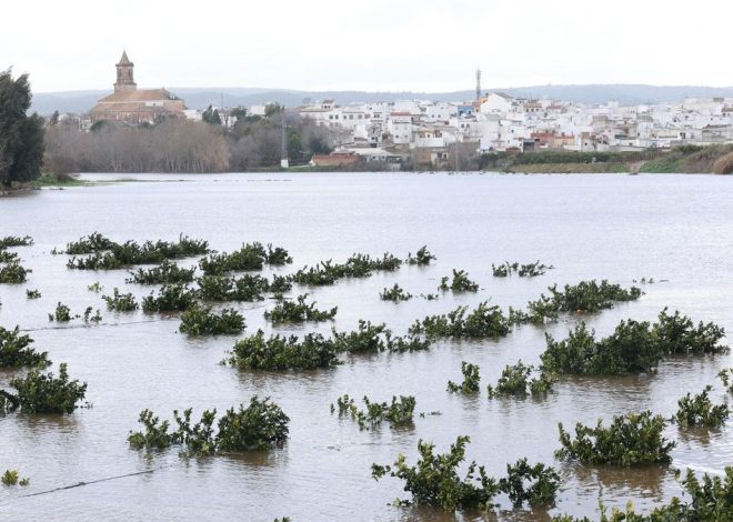 La borrasca Marta lleva al Guadalquivir al límite
