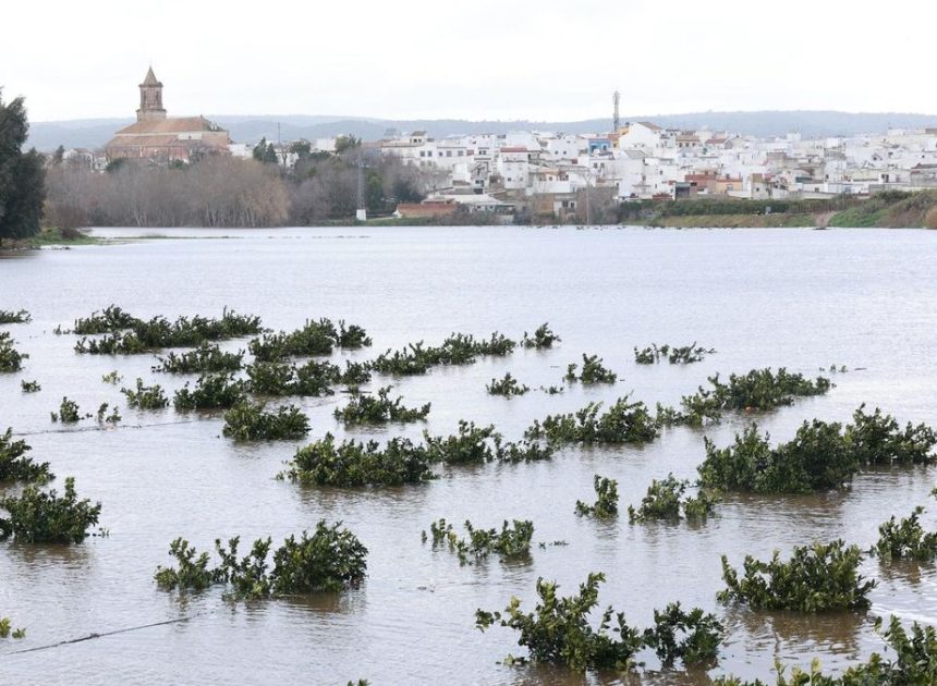 La borrasca Marta lleva al Guadalquivir al límite