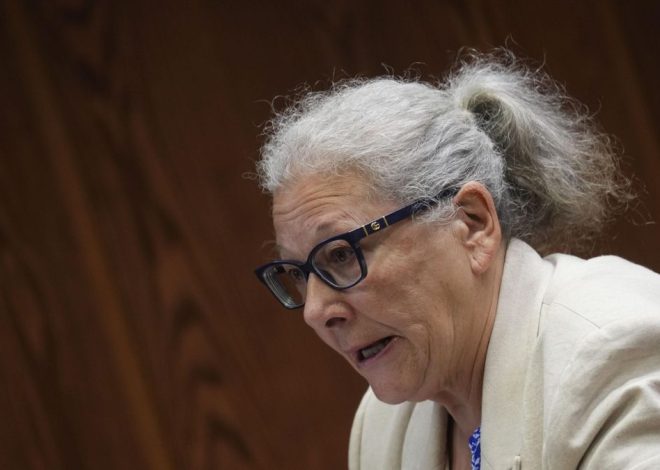 El chófer de Carmen Pano dice que la llevó cerca de la sede del PSOE con “tacos en billetes de 50” aunque no la vio entrar